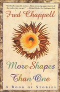 Cover: More Shapes Than One - St. Martin's Griffin