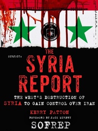 Enlarge image Cover: The Syria Report - St. Martin's Press