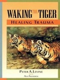 Cover: Waking the Tiger - Tantor Media, Inc