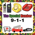 Cover: The Special Number - Xlibris