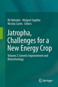 Cover: Jatropha, Challenges for a New Energy Crop - Springer