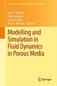 Abbildung von: Modelling and Simulation in Fluid Dynamics in Porous Media - Springer