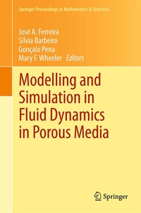 Enlarge image Cover: Modelling and Simulation in Fluid Dynamics in Porous Media - Springer