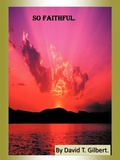 Cover: So Faithful. - Trafford Publishing