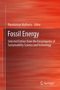 Cover: Fossil Energy - Springer