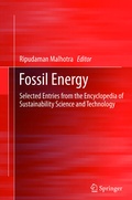 Cover: Fossil Energy - Springer