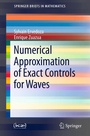 Cover: Numerical Approximation of Exact Controls for Waves - Springer