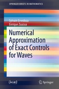 Cover: Numerical Approximation of Exact Controls for Waves - Springer