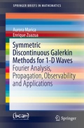 Cover: Symmetric Discontinuous Galerkin Methods for 1-D Waves - Springer