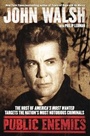 Cover: Public Enemies - Pocket Books