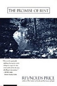 Enlarge image Cover: The Promise of Rest - Scribner