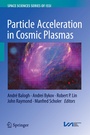 Cover: Particle Acceleration in Cosmic Plasmas - Springer
