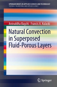 Abbildung von: Natural Convection in Superposed Fluid-Porous Layers - Springer