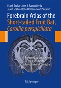 Bild: Forebrain Atlas of the Short-tailed Fruit Bat, Carollia perspicillata - Springer