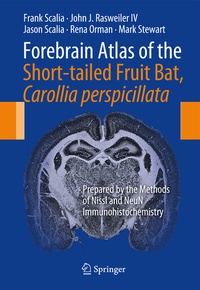 Abbildung von: Forebrain Atlas of the Short-tailed Fruit Bat, Carollia perspicillata - Springer