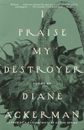 Cover: I Praise My Destroyer - Vintage
