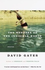 Cover: The Wonders of the Invisible World - Vintage
