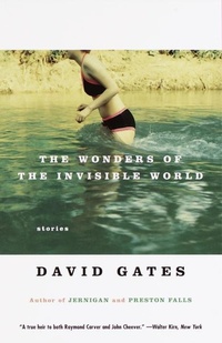 Enlarge image Cover: The Wonders of the Invisible World - Vintage
