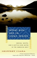 Cover: What You See in Clear Water - Vintage