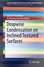 Cover: Dropwise Condensation on Inclined Textured Surfaces - Springer
