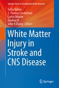 Bild: White Matter Injury in Stroke and CNS Disease - Springer