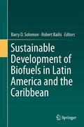 Cover: Sustainable Development of Biofuels in Latin America and the Caribbean - Springer