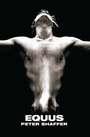 Cover: Equus - Scribner
