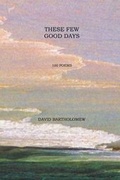 Cover: These Few Good Days - Dog Ear Publishing