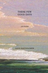 Enlarge image Cover: These Few Good Days - Dog Ear Publishing