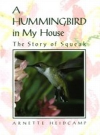 Abbildung von: A Hummingbird in My House - Crown Publishing Group (NY)