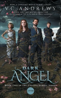 Enlarge image Cover: Dark Angel - Pocket Books