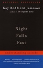 Cover: Night Falls Fast - Vintage