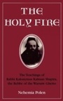 Cover: The Holy Fire - Jason Aronson, Inc.