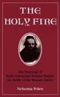 Cover: The Holy Fire - Jason Aronson, Inc.