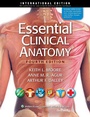 Cover: Essential Clinical Anatomy - Lippincott Williams and Wilkins