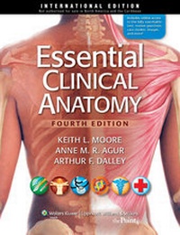 Enlarge image Cover: Essential Clinical Anatomy - Lippincott Williams and Wilkins