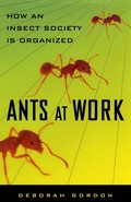 Cover: Ants At Work - The Free Press