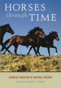 Abbildung von: Horses through Time - Roberts Rinehart