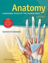 Abbildung von: Anatomy - WOLTERS KLUWER HEALTH