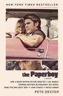 Cover: The Paperboy - Delta