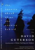 Cover: The Country Ahead of Us, The Country Behind - Vintage