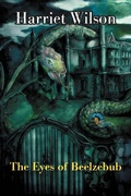 Cover: The Eyes of Beelzebub - Authorhouse UK
