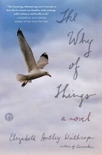 Enlarge image Cover: The Why of Things - Simon + Schuster LLC