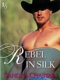 Cover: Rebel in Silk - Loveswept