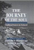 Cover: The Journey of the Soul - Jason Aronson, Inc.