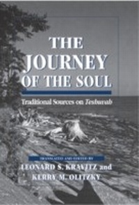 Enlarge image Cover: The Journey of the Soul - Jason Aronson, Inc.