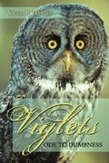 Cover: Viglets - AuthorHouse