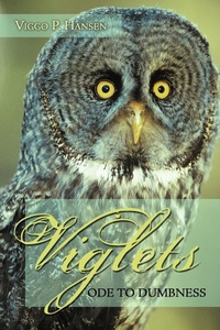 Enlarge image Cover: Viglets - AuthorHouse