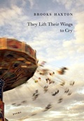 Cover: They Lift Their Wings to Cry - Knopf