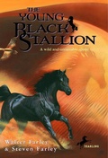 Cover: The Young Black Stallion - Yearling